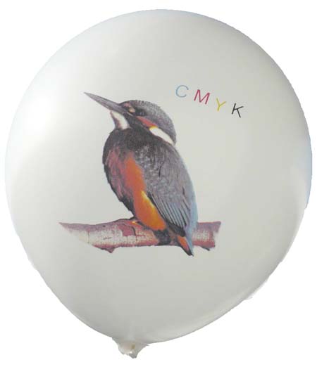 Eisvogel Perfekt-Druck in CMYK 4Farben Passegenau bei Ballonpoint und Gummiwerk Czermak und Feger