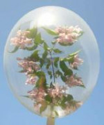 Stufferballon