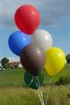 R40S-000-00 dekorations Balloon  Ø~12,5cm Balloon assorted