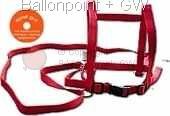 BTRG carryying strap for gigant balloons in 4 color