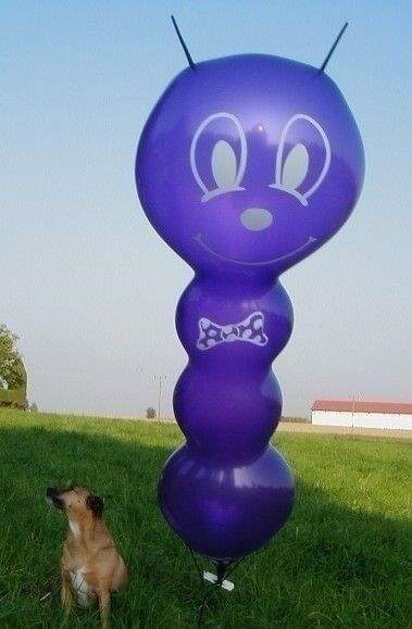 F17-155-102-S Balloon 155cm shape standard printed