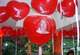 H070N HERZ 70cm breit, Gelb, unbedruckt,  extra starke Herzballons