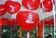 H100N HERZ 100cm breit, BUNTE MISCHUNG, unbedruckt,  extra starke Herzballons