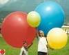 R150 Ø55cm     Blau,  Größe Riesenballon Typ S - unbedruckt